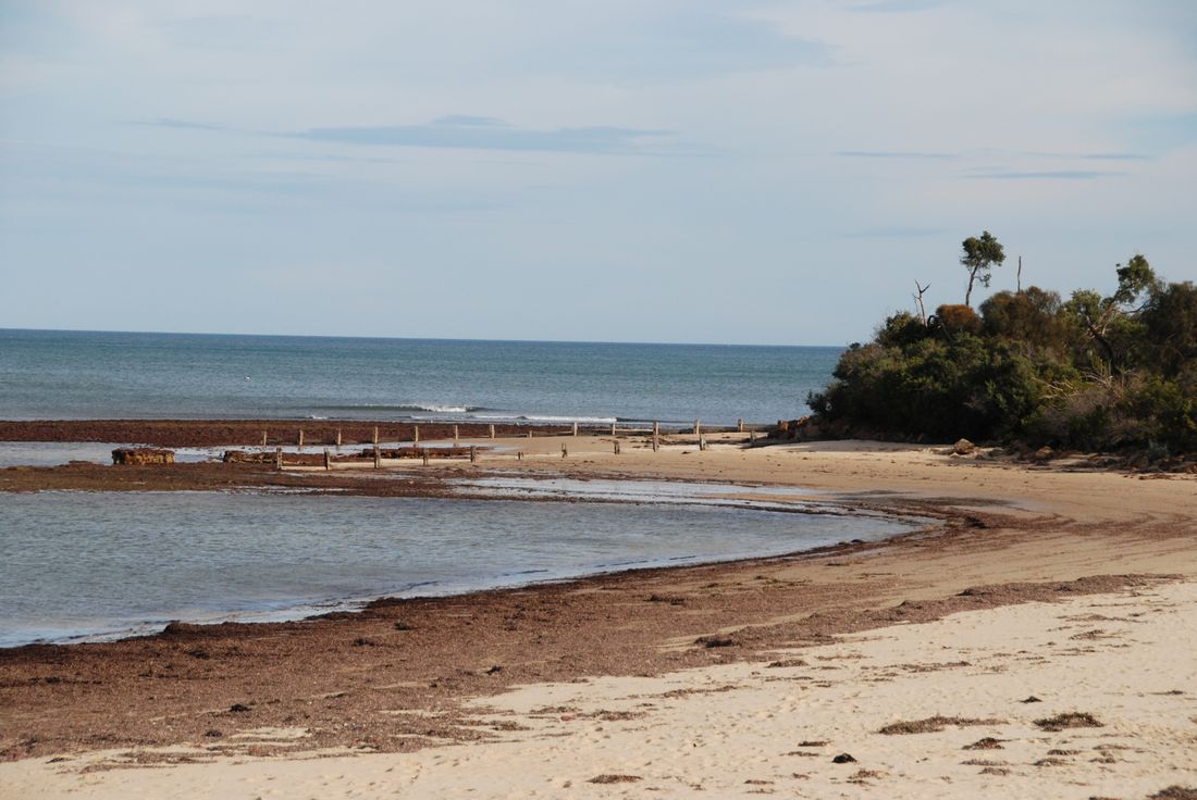 Balnarring Beach